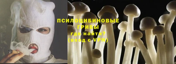 гашик Гусиноозёрск