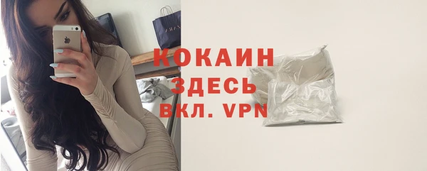 гидра Гусь-Хрустальный