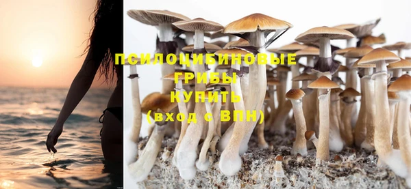 спиды Дмитров