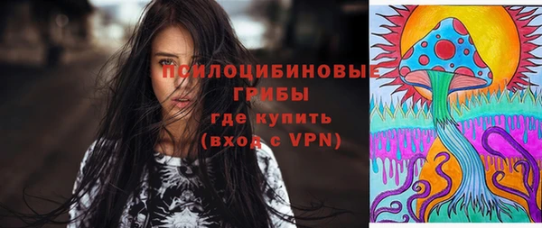 гашик Гусиноозёрск