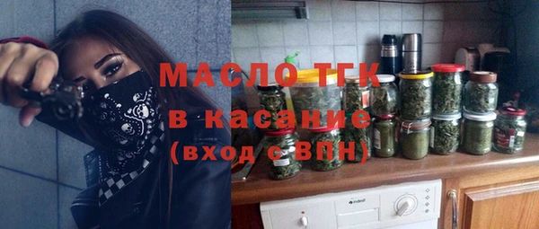 гидра Гусь-Хрустальный